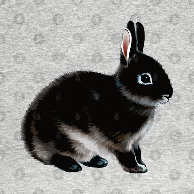 Black Otter Netherland Dwarf Rabbit Bunny by wigobun